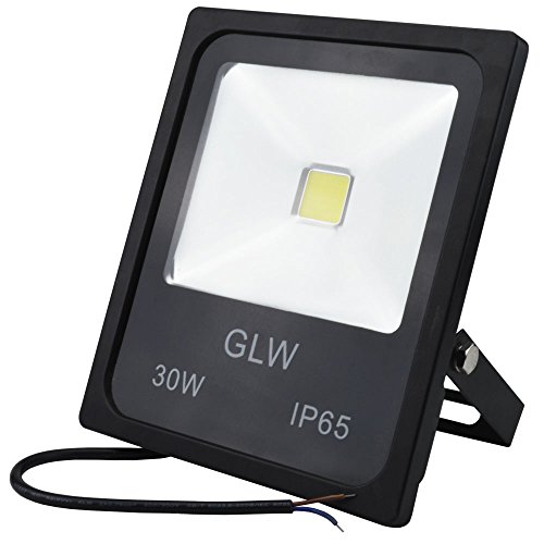 GLW LED 12V 24V AC or DC Flood Light 30W Outdoor Lights IP65 Security Light 3010lm Landscape Lighting for Boat Fishing Road Lights Wall Lights,2 Years Warranty