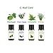 PYRRLA Essential Oils,10 Highest Quality Essential Oil Set (Jasmine/Ylang ylang/Eucalyptus/Rosemary/Lemon/Patchouli/Vetiver/Clary Sage/Myrrh/Citronella)