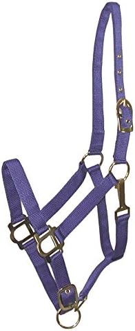 GATSBY LEATHER COMPANY 283992 Nylon Halter Blue, Cobb