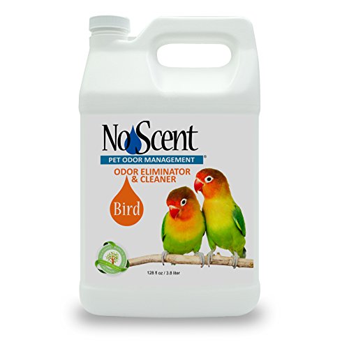 No Scent Bird Professional Pet Poop Cleaner & Odor Eliminator Safe All Natural Probiotic