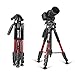 ZOMEI Z666RED Camera Compact Travel Tripod With Pan Head And Quick Release Plate, Aluminum Lightweight Camera Tripod With Carry Case For Canon Sony Nikon DSLR Cameras, Red