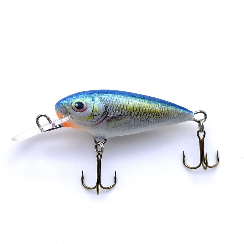 EVERBAY DORADO Wobbler Fishing Lure-Hard Crankbait-Fishing Tackle, Topwater Life-Like Swimbait for Perch Pike Zander Trout Salmon Catfish Chub Barbel Trolling in Freshwater, Sinking - INVADER 4cm B
