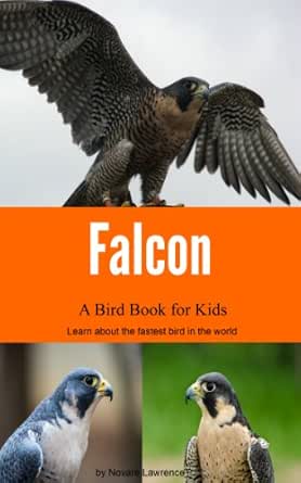 falcon kids