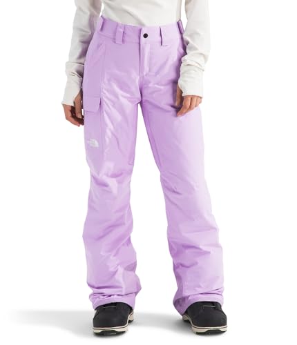 The North Face Women's Freedom Insulated Pant (Standard & Plus Size) - Waterpro…