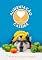 Livro Alimentação Caseira para Cães: Seu filhote merece uma alimentação saborosa e nutritiva! Receitas, dicas, frutas permitidas, sorvetes, técnicas naturais, benefícios e muito mais. (Dog)