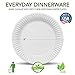 Stock Your Home 9-Inch Paper Plates Uncoated, Everyday Disposable Plates 9