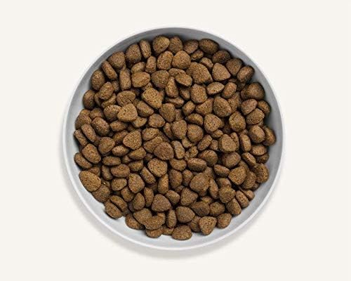 canagan dog food 6kg
