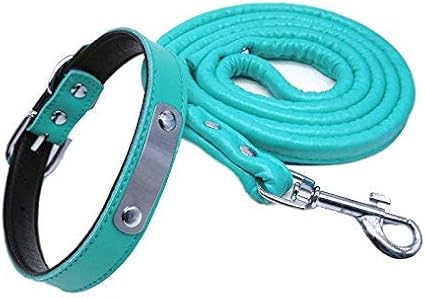 Amazon Leafin 犬 首輪 迷子札 リード フェイクレザー レーザー彫刻 引っ張る防止 ドッグタグ ペット 名札付き 名前 連絡先刻印可能 ベーシック首輪 ネームプレート Idタグ カスタマイズ ペット首輪 Xs ブルー セット Leafin ベーシック 首輪 通販