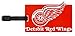 Aminco NHL Detroit Red Wings Soft Bag Tag