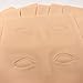 ASIBT Set of 10 Microblading Practice Skin 26.2×15.2×0.3cm 3D Cosmetic Permanent Makeup Eyebrow Tattoo Training (3d Eyes)
