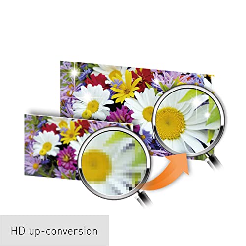 Panasonic DVD Player with Dolby Digital Sound, 1080p HD Upscaling for