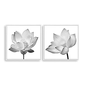 2 Piece Framed Home Artwork Transparent Flower for...