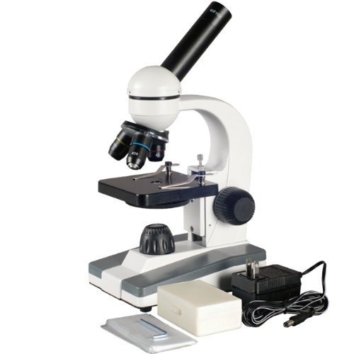 Buy AmScope M148CPB10 Compound Monocular Microscope, WF10x and WF25x