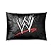 Home Decor Custom WWE Zippered Pillow Case Twin Sides 20x30 Inch