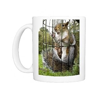 Photo Mug Of Grey Squirrel Trapped Inside A Squirrel Proof Bird