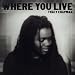 Tracy Chapman America