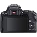 Canon EOS Rebel SL3 DSLR Camera with EF-S 18-55mm f/4-5.6 is STM Lens + 2Pcs 32GB Sandisk SD Memory + Digital Flash + Filter & Macro Kits + Backpack + 50″ Tripod + Morethumb 3
