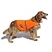 Hiado Dog Reflective Vest High Visibility Safety Jacket for Walking Running Hiking to Keep Dogs Visible Safe from Cars and Hunting Accidents Orange XXL