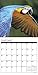 Parrots 2017 Wall Calendar
