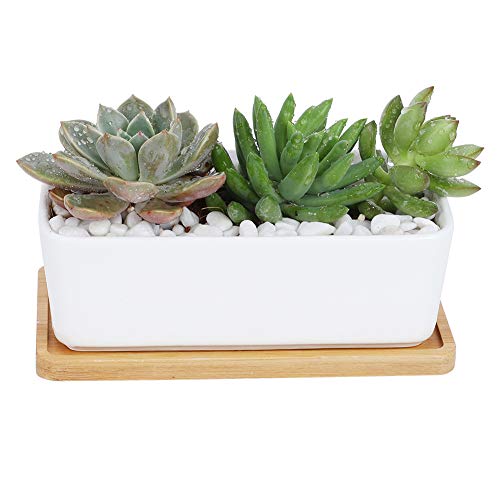 6.69 inch Ceramic Succulent Plant Pots Indoor with Bamboo Tray Window Box Planter Saucer White Fit Succulent Plant Décor