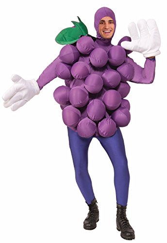 Purple Grapes Costume for Adults