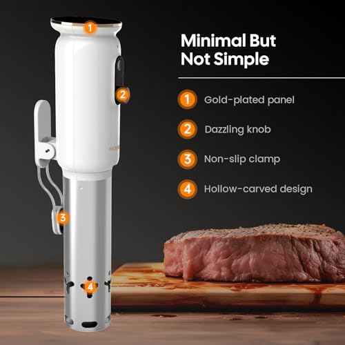 INKBIRD WiFi Sous Vide Machine ISV-101W, Precision Slow Cooker with 3D Water Circulation, 1000W Fast Heating Immersion Circulator, App Preset Menus, Accurate Temp Control & Smart Alerts, TFT Display
