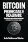 Livro BITCOIN: PROMESSAS E REALIDADE: Entenda por que muitos investidores se frustram no mercado digital