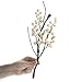 Factory Direct Craft Pack of 6 Artificial Twig and Cream Berry Picks - Decorative Branch Picks for Christmas Tree Decoration, Wreaths, Flower Arrangements and DIY Crafts