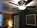 Lynstead 52-in Specialty Bronze Flush Mount Indoor Residential Ceiling Fan with LED Light Kit