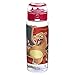 Zak! Designs Pokemon Reusable Tritan Plastic Water Bottle with Flip Top Cap, Featuring Charmander, Charmeleon, and Charizard BPA-Free and Break Resistant, 25 oz.