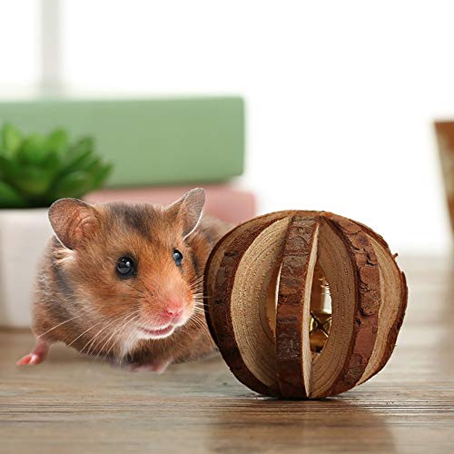 3 PIVBY+Hamster+Exercise+Playing+Rabbits