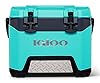 Igloo BMX 25 Qt Cooler - TLDR Review - View #7