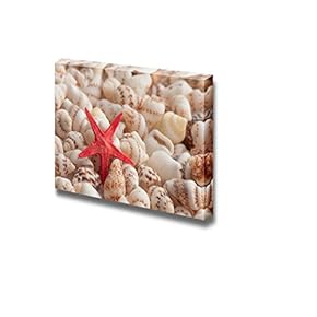 Canvas Prints Wall Art - Closeup of Composition of Exotic Shells | Modern Wall Decor/Home Decoration Stretched Gallery Canvas Wrap Giclee Print & Ready to Hang - 12" x 18"