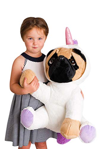 massive pug teddy