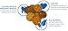 Blue Dog Bakery Natural Dog Treats, Doggie Paws, Maple Bacon Flavor, 16.2oz (1 Count)