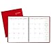 AT-A-GLANCE Monthly Planner / Appointment Book 2017, 15 Months, 9 x 11