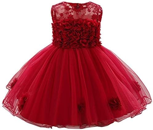 ODASDO Baby Flower Girl Dresses Infant Toddler Kids 1st 2nd Birthday Party  Dress Lace Flower Embroidered Pageant Wedding Bridesmaid Evening Summer  Sleeveless Princess Tutu Tulle Gown Red 6-12M price in Saudi Arabia |