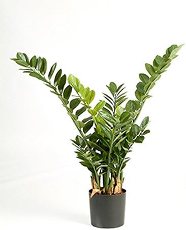 zamie 90 cm, grandes Planta Artificial de gran calidad ...