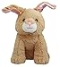 Shelter Pets: Ostara The Bunny - 10