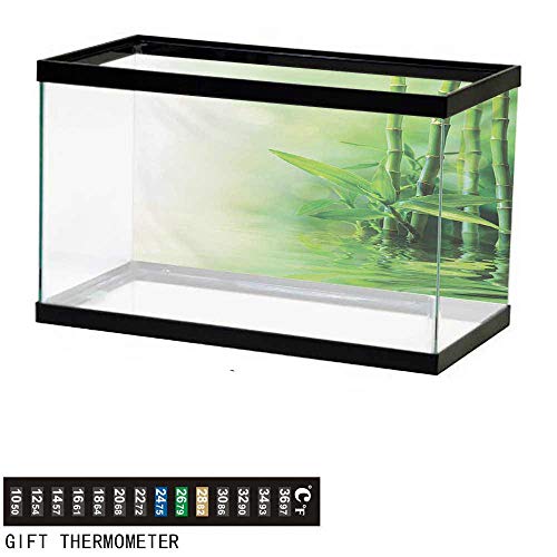 Wwwhsl Aquarium Background Asian Bamboo Stalks Reflection On Water