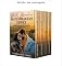 Livro Coleção completa da série Casamenteiras de Misty Mountain (Coleções de Stephanie Faris Livro 1)