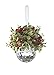 Kissing Krystals Acrylic Mistletoe Hanging Ornament- Assorted Shapes for Christmas