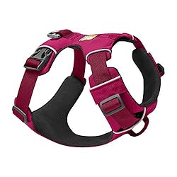 Ruffwear, Front Range Dog Harness, Reflective and