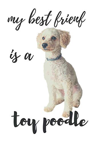 My best Friend is a toy poodle: 6” x 9” Black lined Journal Notebook 110 College Ruled Pages/cute dog