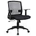 Office Chair Ergnomic Desk Chair Adjustable Computer Chair Executive Mid Back Rolling Swivel Chair with Lumbar Support Armrest Mesh Task Chair for Women Adults, Black