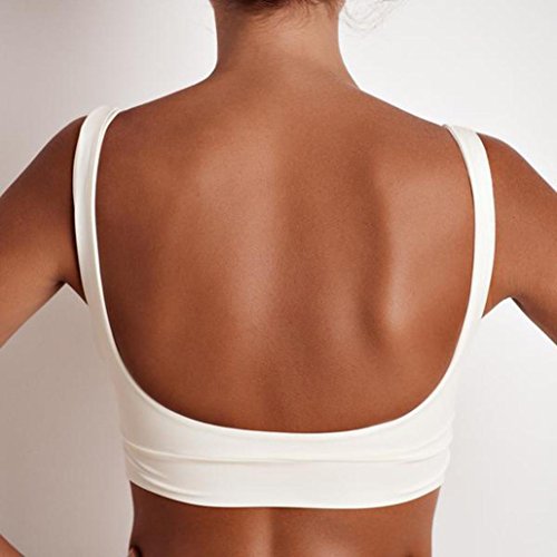 Sports Bra, Clearance! Tloowy Womens Workout Crop Tops Gym Activewear Bra Vest Yoga Tank Tops (White, L)