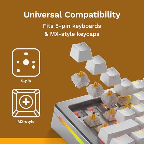 Glorious Gaming Switches Silent Panda (36 Pcs) Pre-Oiled Touch Switches for Gaming and Typing, for MX Mechanical Keyboards with Hot Swap, with 3 Pin Plate