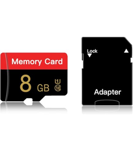 Amazon.com: Transcend Information 16 GB Micro SDHC10 (TS16GUSDC10