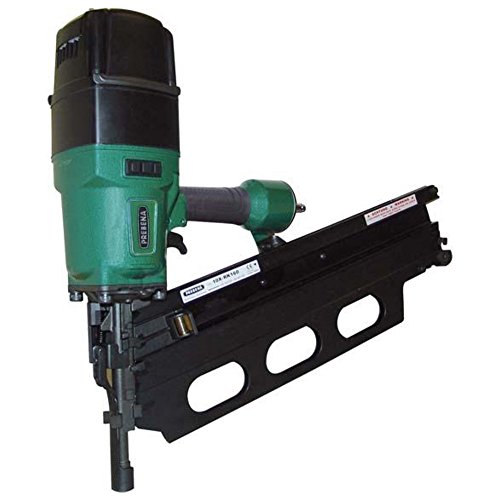 Rundkopf-Streifennagler