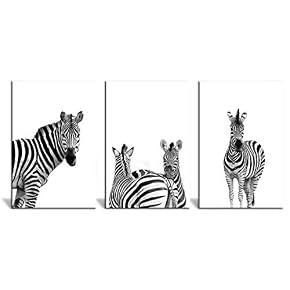 3 Panel Close Up of Zebras in Black...